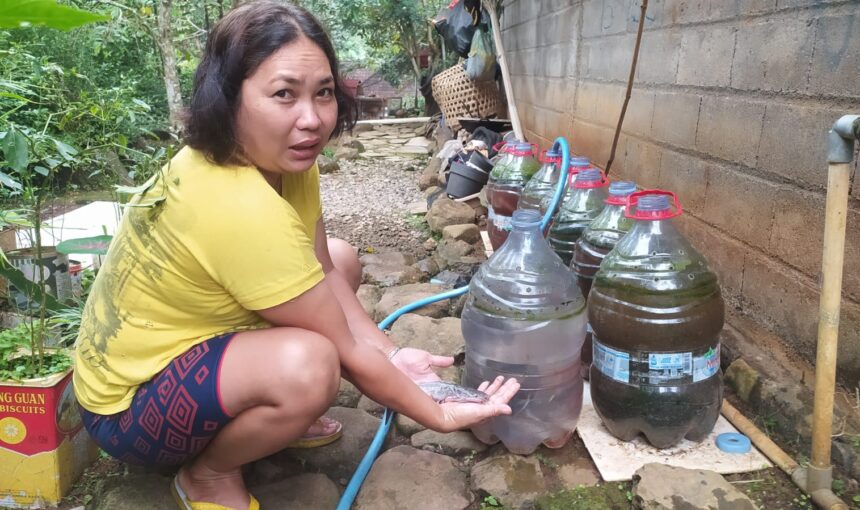 Dari Galon Bekas Jadi Kolam Lele: Ika Riswati, Ibu Rumah Tangga di Sombron yang Cerdik Penuhi Gizi Keluarga
