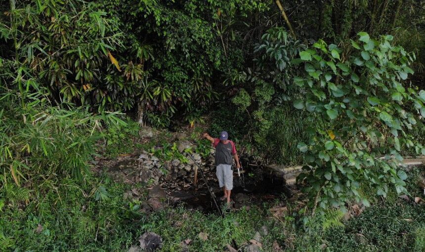 Kali Ringin: Jejak Beringin, Jejak Budaya di Pinggir Sombron
