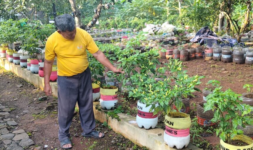 Dari Botol Bekas Tumbuh Harapan Ketahanan Pangan di Tlompakan